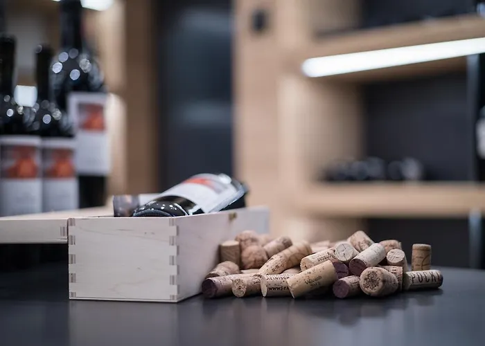 Elisabethhotel Premium Private Retreat- Adults Only Hotel Mayrhofen