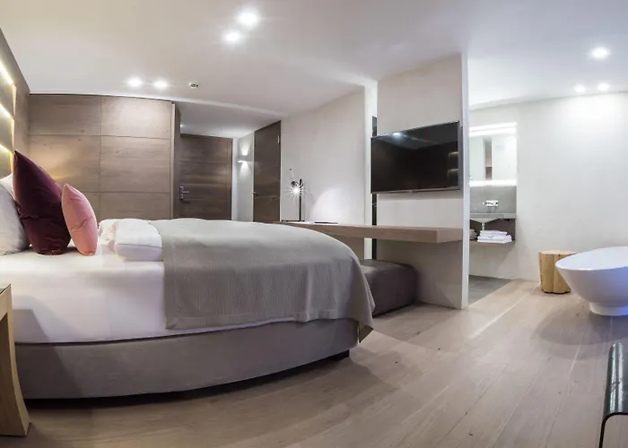 Otel Elisabethhotel Premium Private Retreat- Adults Only Mayrhofen